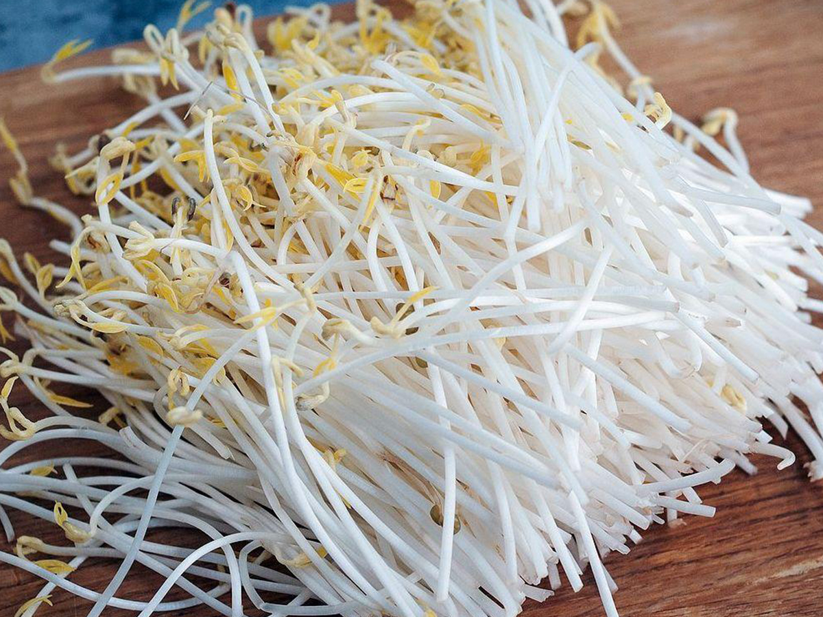 豆芽機提醒您常吃綠豆芽能減肥